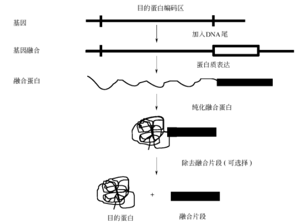 微信截圖_20220706141119.png